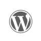 Icon Wordpress